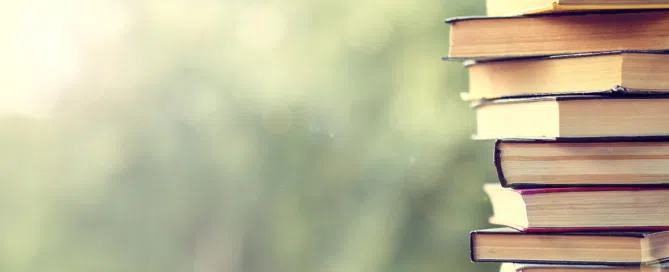 Conversie Partners online marketing header op WordPress site